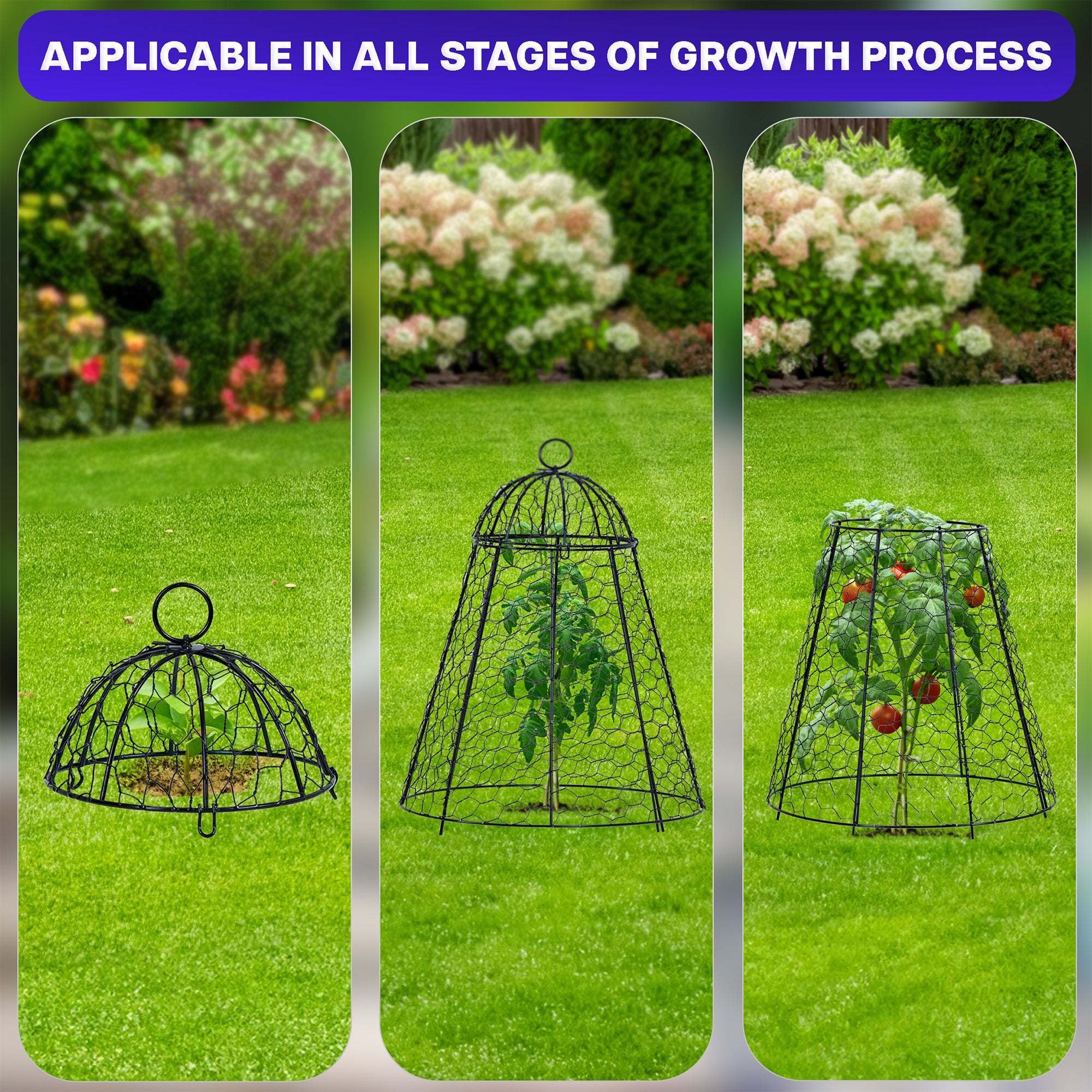Garden cloches in various stages of use on a grassy background with flowers.
