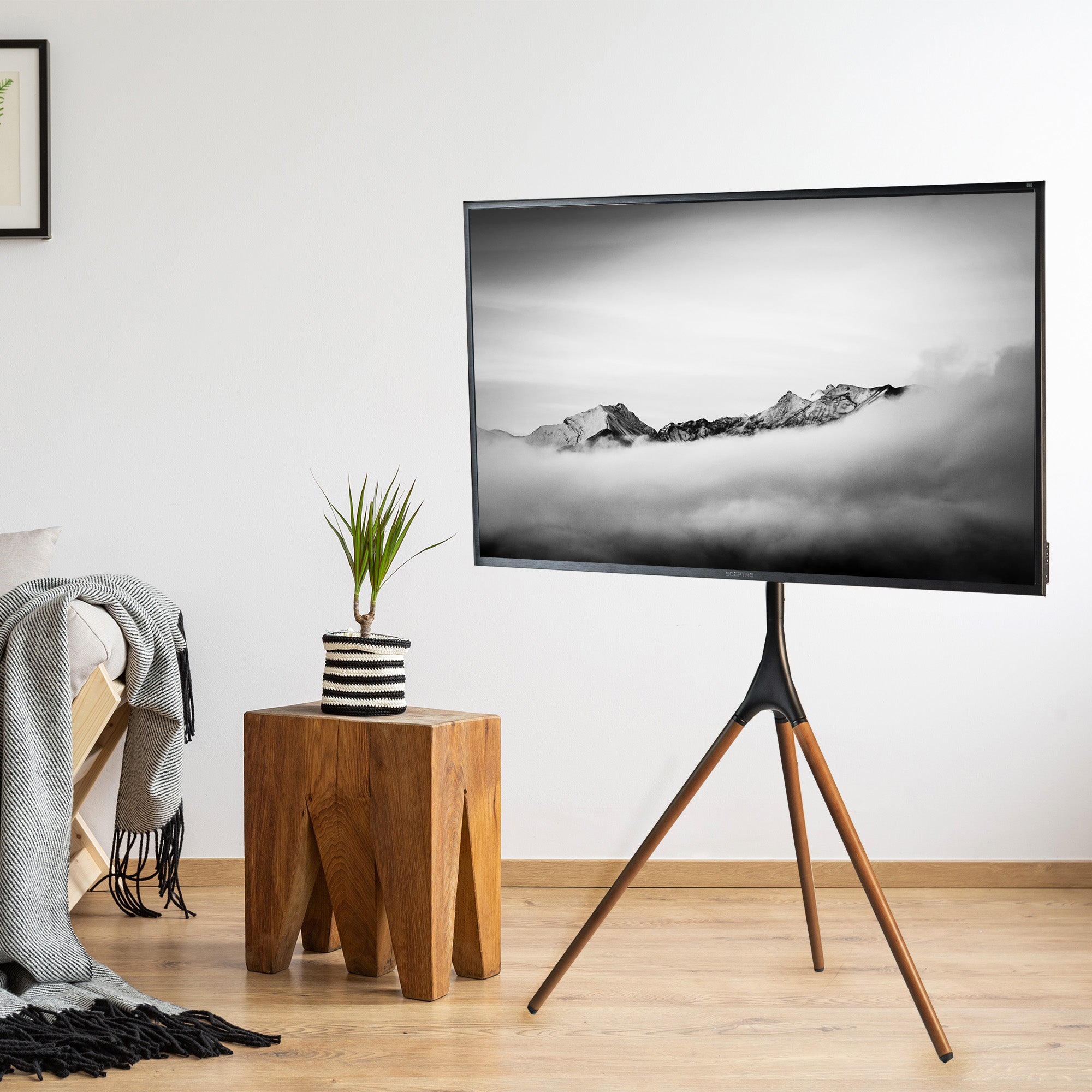 Tripod easel studio TV stand.
