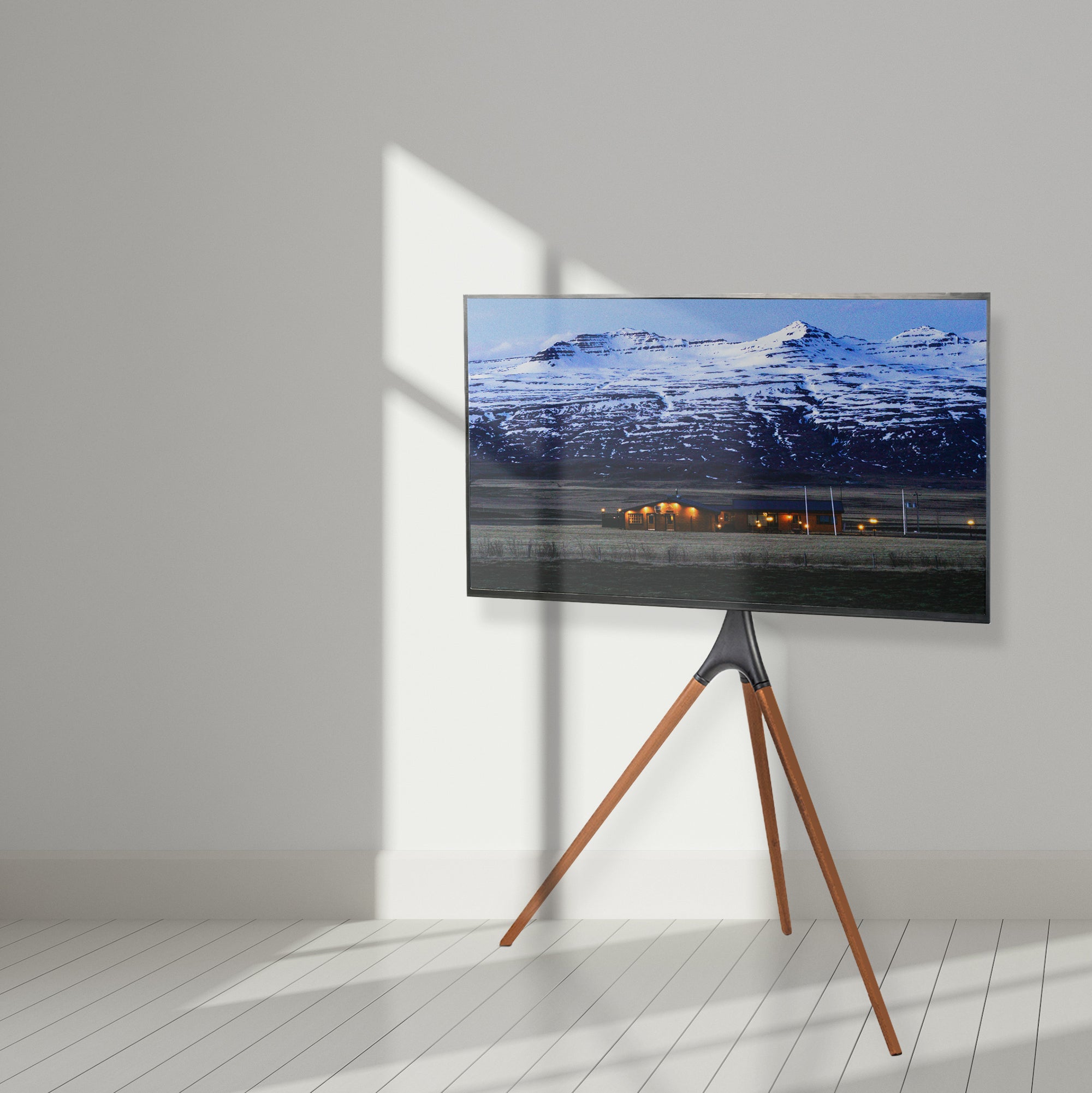 Tripod easel studio TV stand.