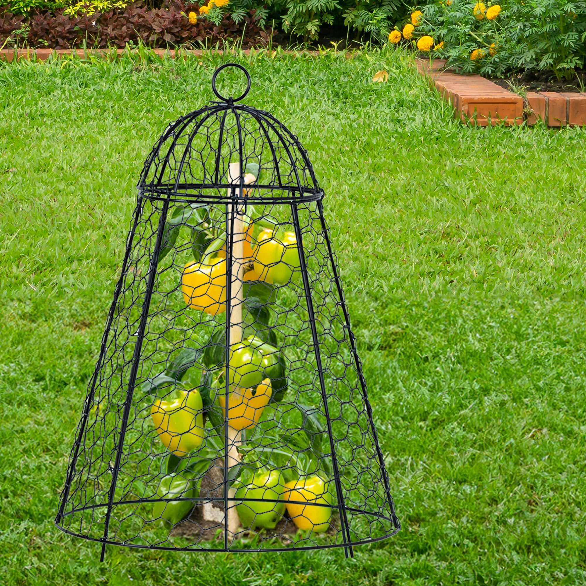 Garden cloche with fruits on a grassy background