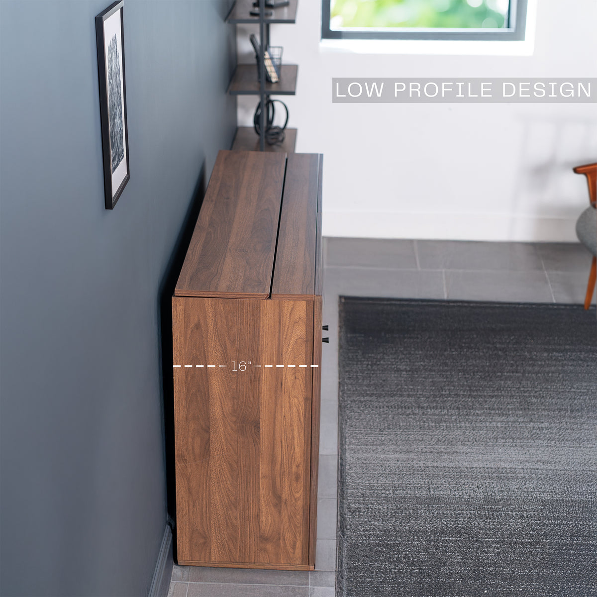 Low Profile design TV case / cabinet in a living room setting.