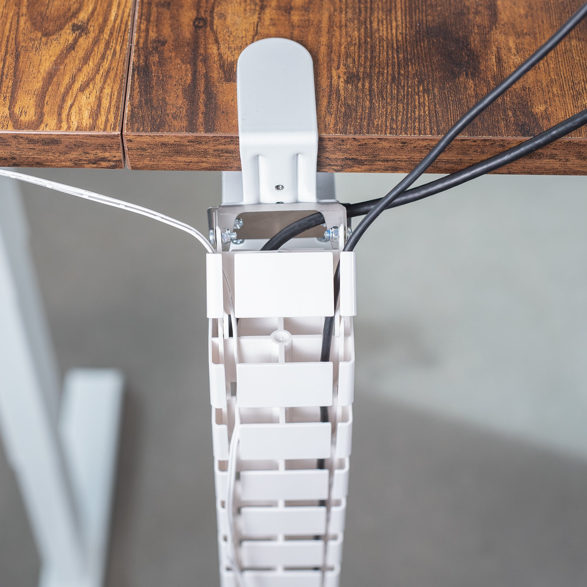 Clamp-on vertebrae cable management for desk.