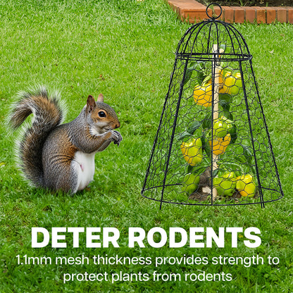 Squirrel near a garden cloche with text about deterring rodents