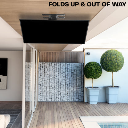 TV folds up and out of the way in a modern indoor setting with plants and pool.