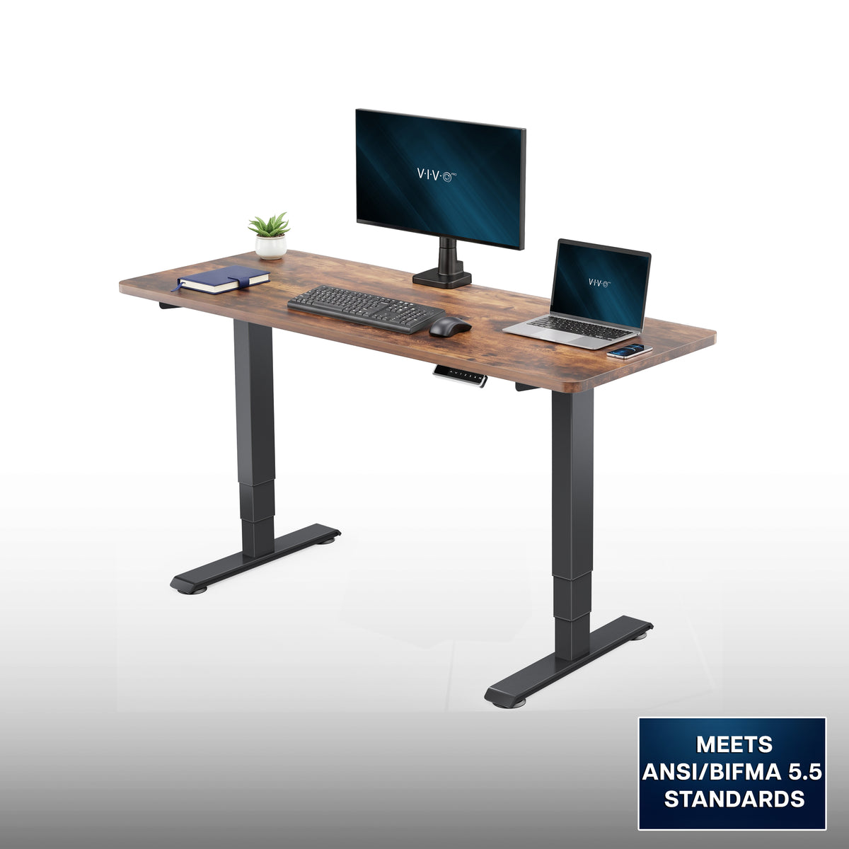 VIVO PRO 60" x 24" Dual Motor Electric Desk