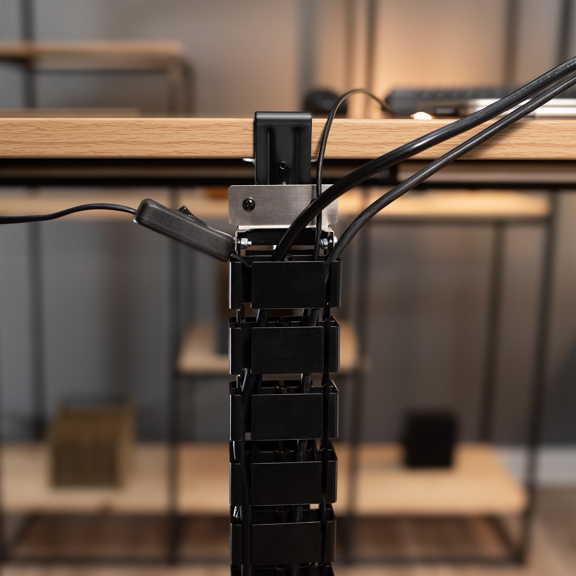 Clamp-on vertebrae cable management for desk.