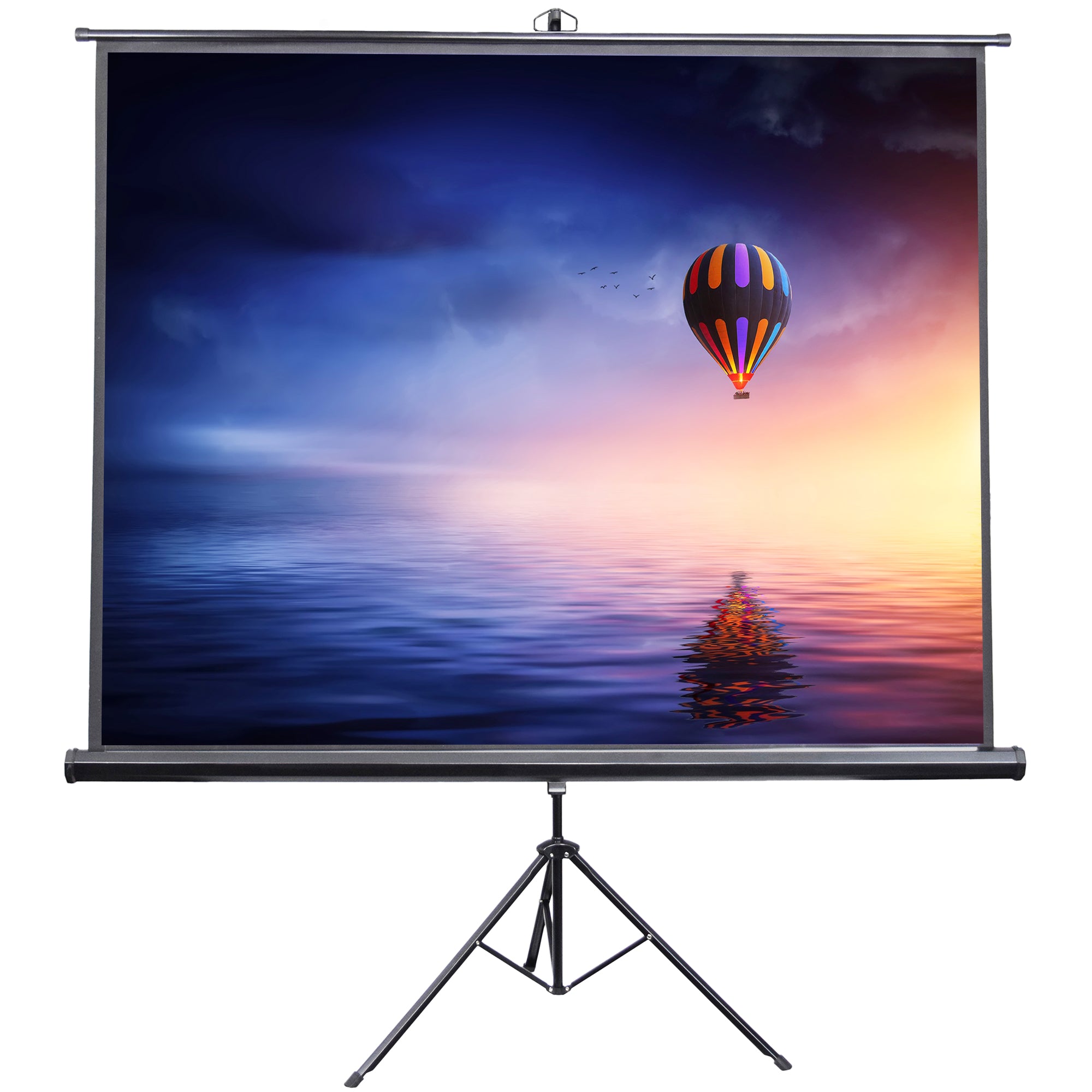 100" Portable Tripod Projector Screen 4:3