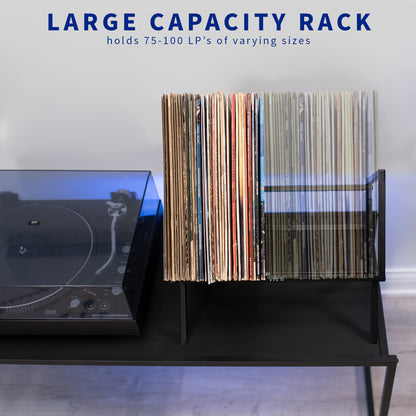 Large Capacity Vinyl Record Storage